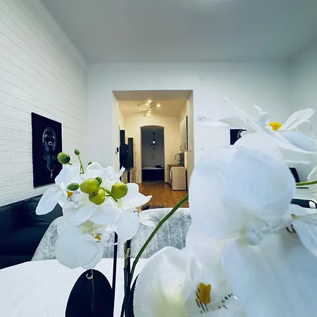 Apartment Modern 2br For 5 Prime Location